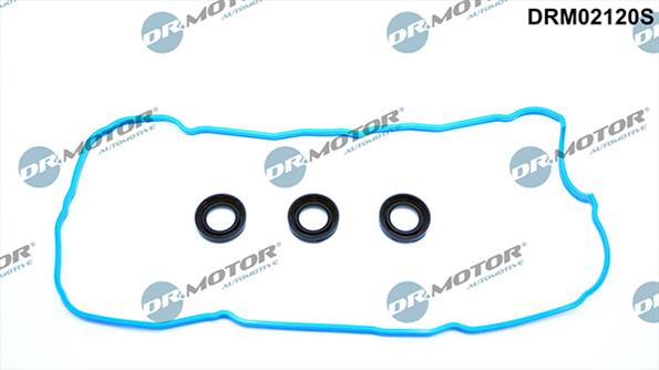 Gaskets DRM02120S