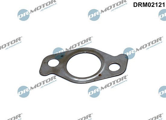 Gaskets DRM02121