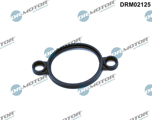 Gaskets DRM02125