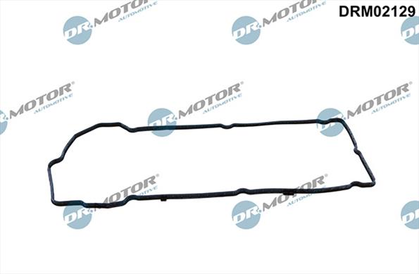 Gaskets DRM02129