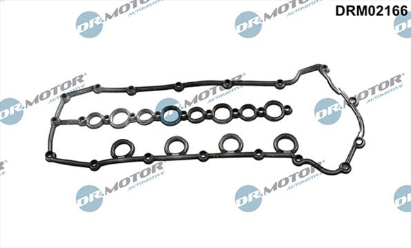 Gaskets DRM02166