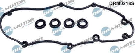 Gaskets DRM0218S