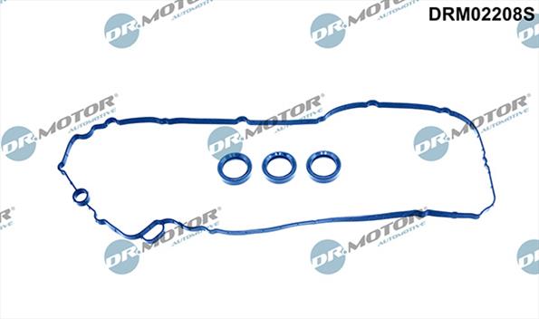 Gaskets DRM02208S