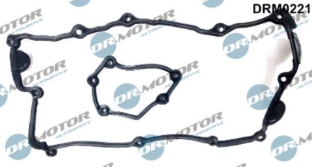 Gaskets DRM0221