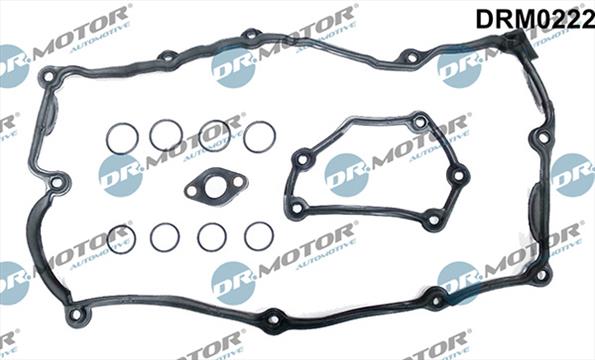 Gaskets DRM0222