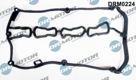 Gaskets DRM0224