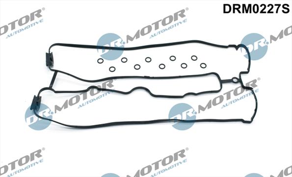 Gaskets DRM0227S