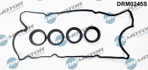 Gaskets DRM0245S