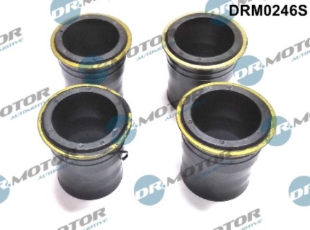 Supports d'injecteur DRM0246S