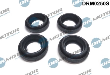 Montajes de inyectores DRM0250S