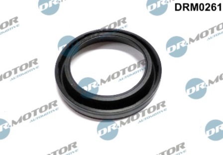 Injector mountings DRM0261