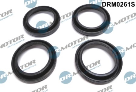 Montajes de inyectores DRM0261S