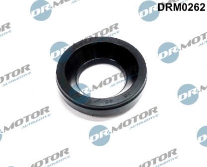 Injector mountings DRM0262