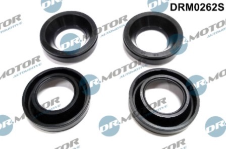 Supports d'injecteur DRM0262S