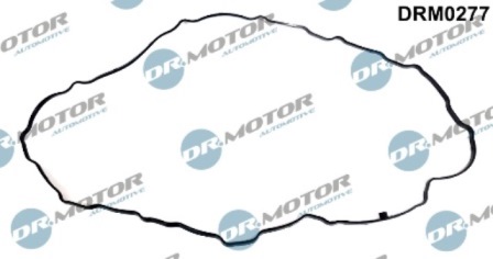 Gaskets DRM0277