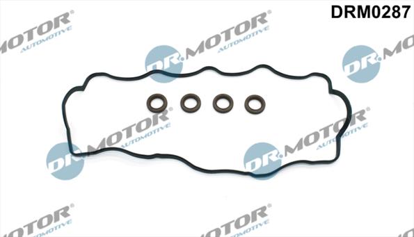 Gaskets DRM0287