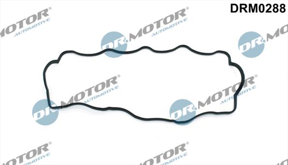 Gaskets DRM0288