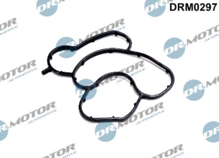 Gaskets DRM0297