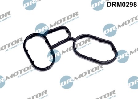 Gaskets DRM0298