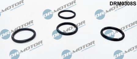 Gaskets DRM0308S