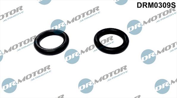 Gaskets DRM0309S