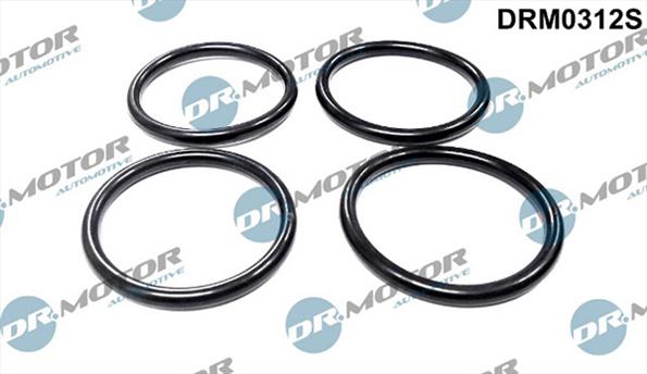 Gaskets DRM0312S