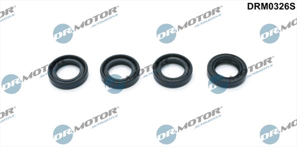 Gaskets DRM0326S