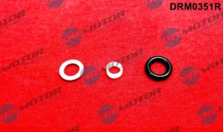 Gaskets DRM0351R