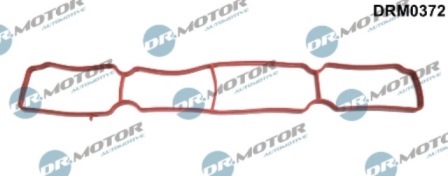 Gaskets DRM0372