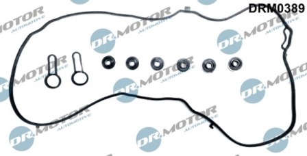 Gaskets DRM0389