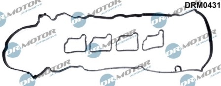 Gaskets DRM0431