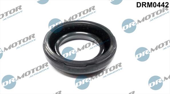 Gaskets DRM0442