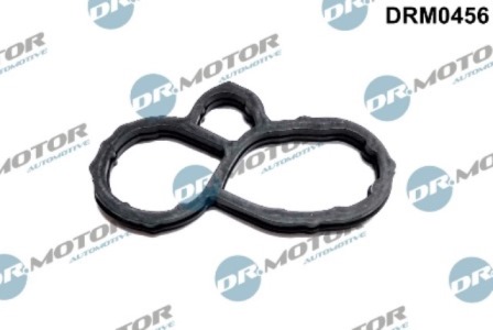 Gaskets DRM0456