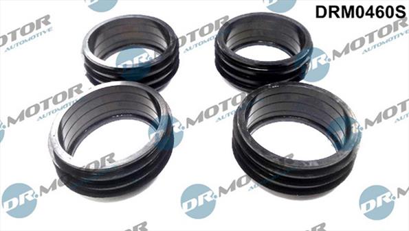 Gaskets DRM0460S