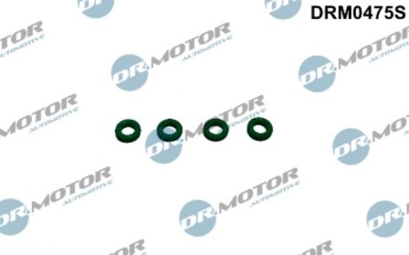 Gaskets DRM0475S