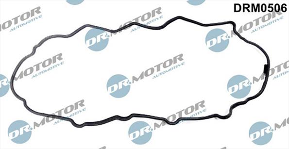 Gaskets DRM0506