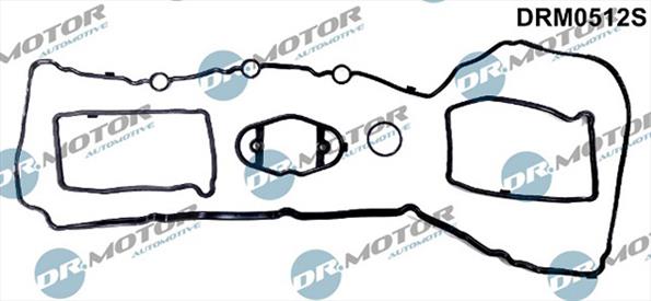 Gaskets DRM0512S