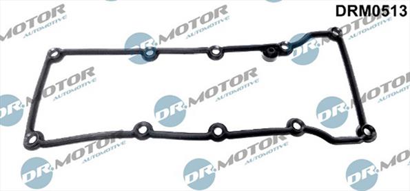 Gaskets DRM0513