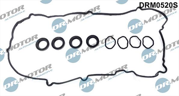 Gaskets DRM0520S