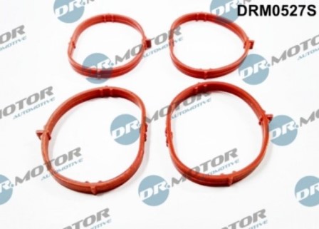 Gaskets DRM0527S