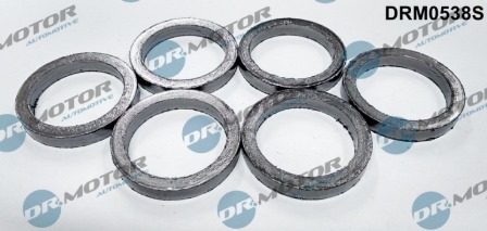 Gaskets DRM0538S