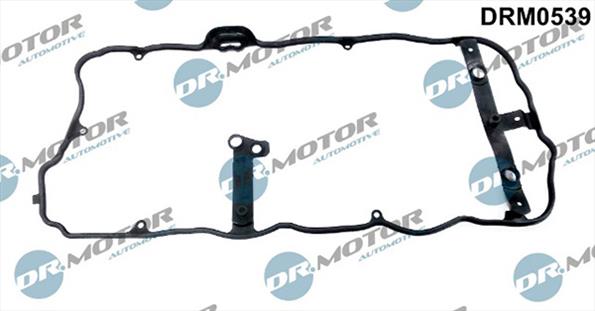 Gaskets DRM0539