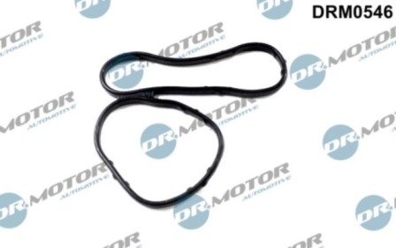 Gaskets DRM0546