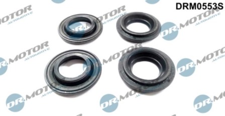 Gaskets DRM0553S