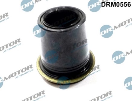 Gaskets DRM0556