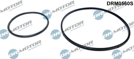 Gaskets DRM0560S