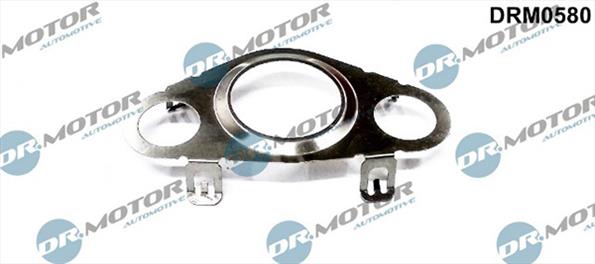 Gaskets DRM0580