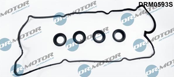 Gaskets DRM0593S