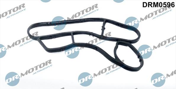 Gaskets DRM0596