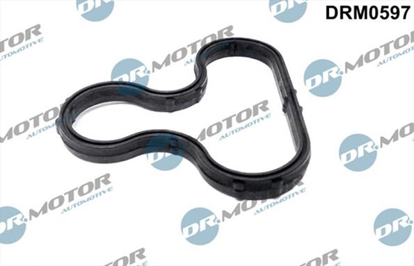 Gaskets DRM0597